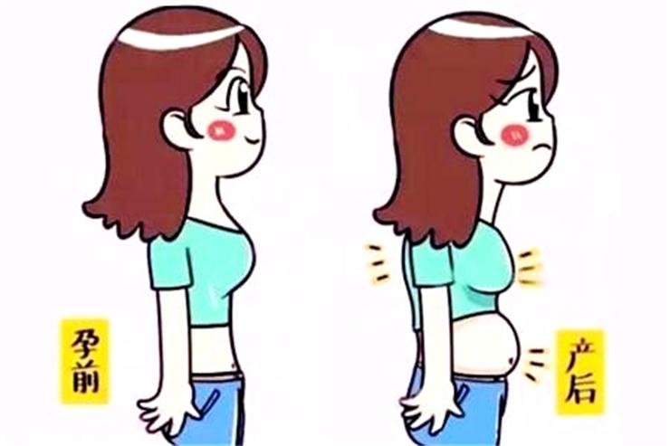 1560150639546704.jpg 產(chǎn)后快速恢復(fù)